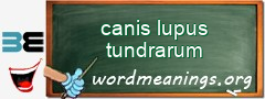 WordMeaning blackboard for canis lupus tundrarum